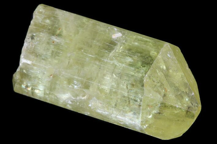 Lustrous Yellow Apatite Crystal - Morocco #82542